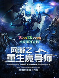 网游之重生纪元原著小说